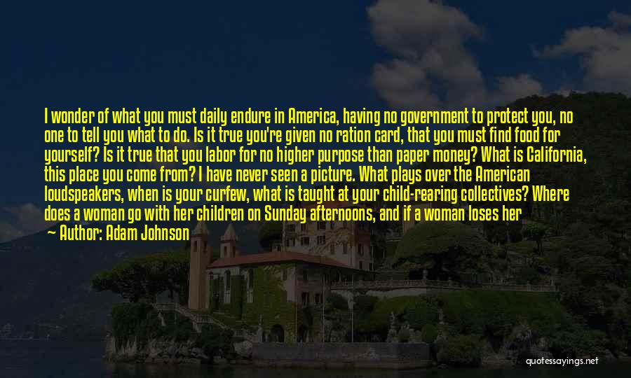 Adam Johnson Quotes: I Wonder Of What You Must Daily Endure In America, Having No Government To Protect You, No One To Tell