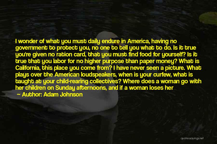 Adam Johnson Quotes: I Wonder Of What You Must Daily Endure In America, Having No Government To Protect You, No One To Tell