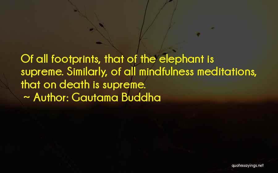 Gautama Buddha Quotes: Of All Footprints, That Of The Elephant Is Supreme. Similarly, Of All Mindfulness Meditations, That On Death Is Supreme.