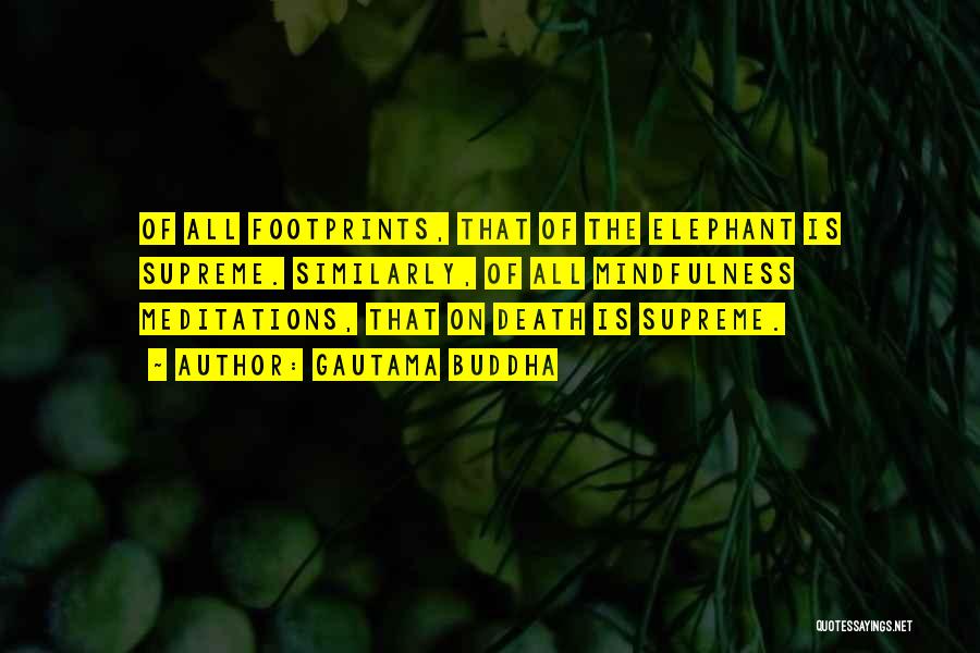 Gautama Buddha Quotes: Of All Footprints, That Of The Elephant Is Supreme. Similarly, Of All Mindfulness Meditations, That On Death Is Supreme.