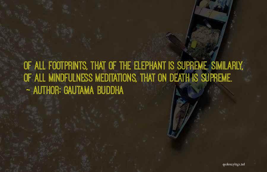 Gautama Buddha Quotes: Of All Footprints, That Of The Elephant Is Supreme. Similarly, Of All Mindfulness Meditations, That On Death Is Supreme.