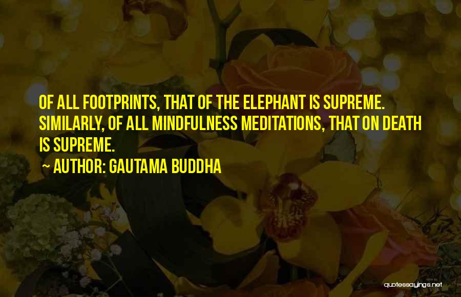 Gautama Buddha Quotes: Of All Footprints, That Of The Elephant Is Supreme. Similarly, Of All Mindfulness Meditations, That On Death Is Supreme.