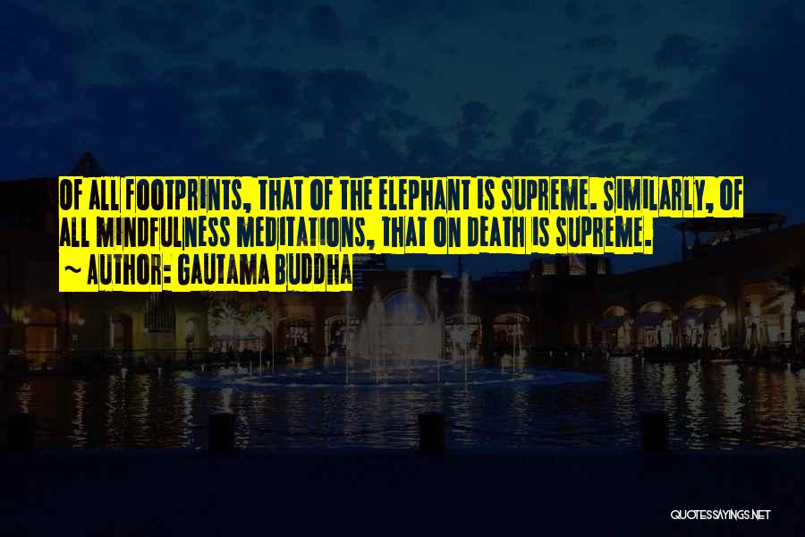 Gautama Buddha Quotes: Of All Footprints, That Of The Elephant Is Supreme. Similarly, Of All Mindfulness Meditations, That On Death Is Supreme.