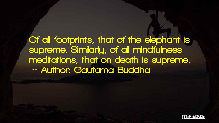 Gautama Buddha Quotes: Of All Footprints, That Of The Elephant Is Supreme. Similarly, Of All Mindfulness Meditations, That On Death Is Supreme.