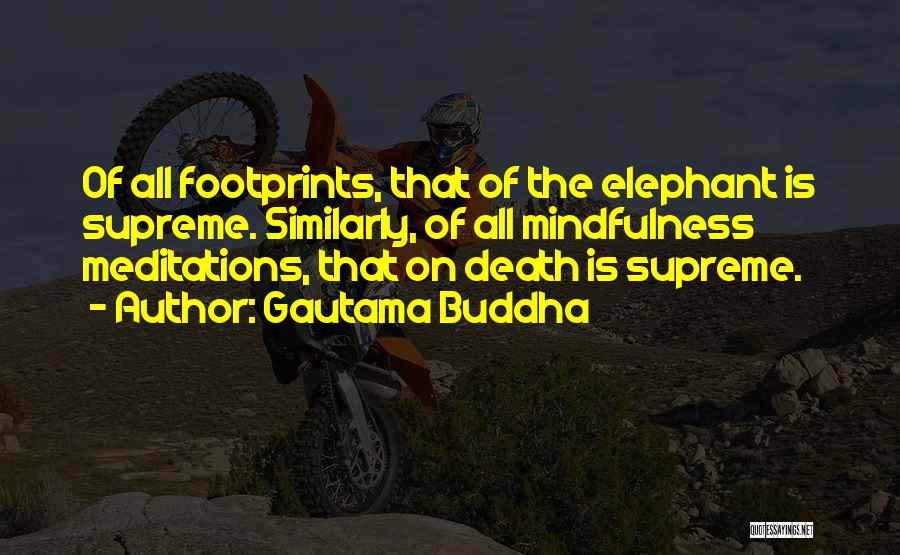 Gautama Buddha Quotes: Of All Footprints, That Of The Elephant Is Supreme. Similarly, Of All Mindfulness Meditations, That On Death Is Supreme.