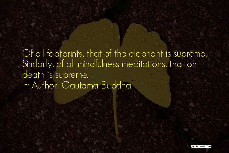 Gautama Buddha Quotes: Of All Footprints, That Of The Elephant Is Supreme. Similarly, Of All Mindfulness Meditations, That On Death Is Supreme.