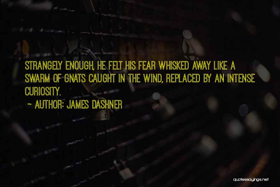 James Dashner Quotes: Strangely Enough, He Felt His Fear Whisked Away Like A Swarm Of Gnats Caught In The Wind, Replaced By An