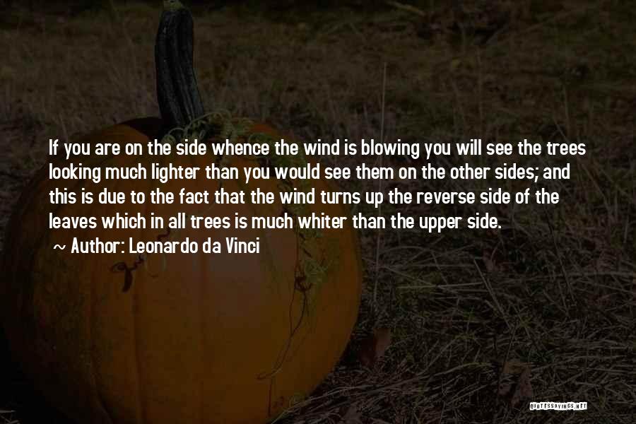 Leonardo Da Vinci Quotes: If You Are On The Side Whence The Wind Is Blowing You Will See The Trees Looking Much Lighter Than