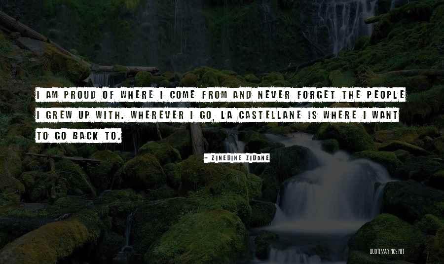 167530s Quotes By Zinedine Zidane 167530s Quotes By Zinedine Zidane
