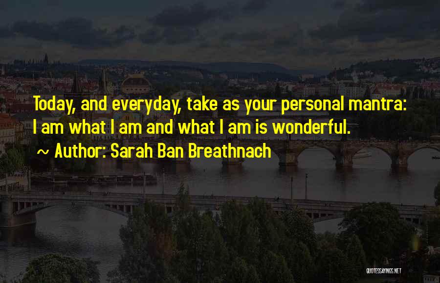 Sarah Ban Breathnach Quotes: Today, And Everyday, Take As Your Personal Mantra: I Am What I Am And What I Am Is Wonderful.