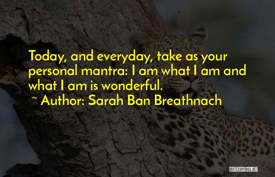 Sarah Ban Breathnach Quotes: Today, And Everyday, Take As Your Personal Mantra: I Am What I Am And What I Am Is Wonderful.