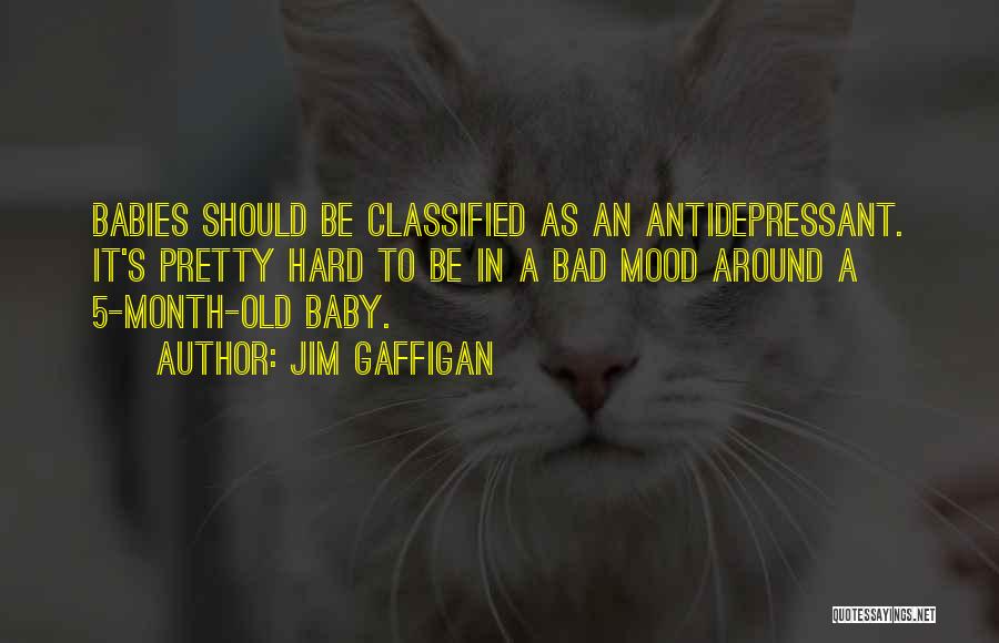 Jim Gaffigan Quotes: Babies Should Be Classified As An Antidepressant. It's Pretty Hard To Be In A Bad Mood Around A 5-month-old Baby.