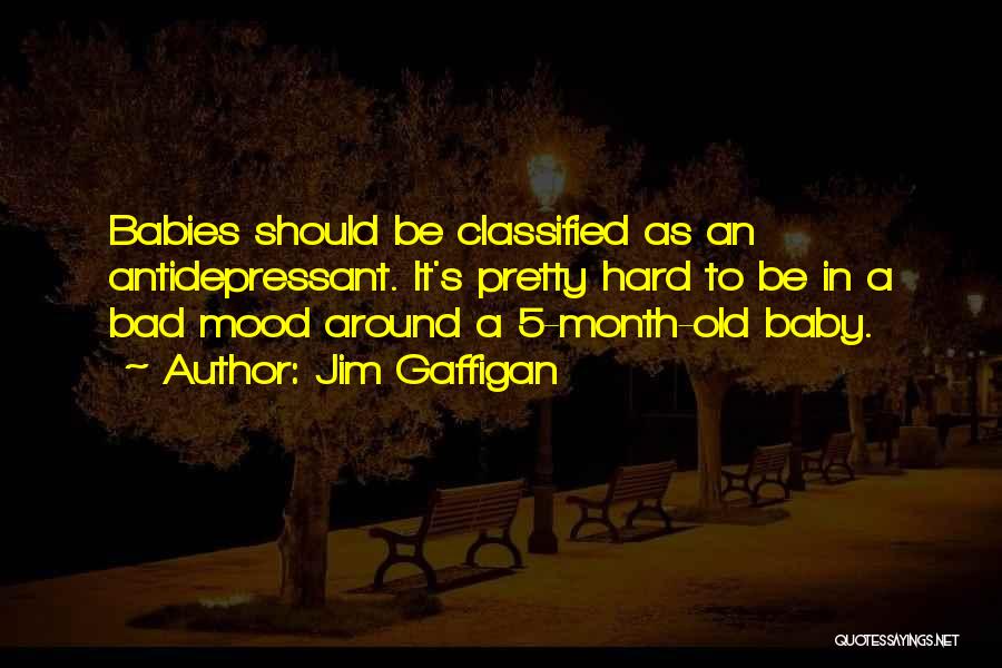 Jim Gaffigan Quotes: Babies Should Be Classified As An Antidepressant. It's Pretty Hard To Be In A Bad Mood Around A 5-month-old Baby.