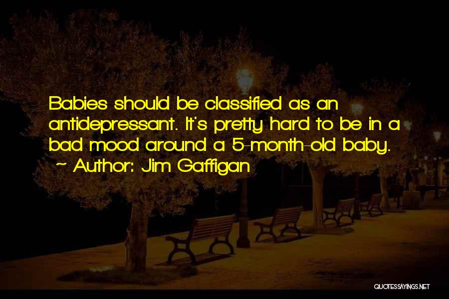 Jim Gaffigan Quotes: Babies Should Be Classified As An Antidepressant. It's Pretty Hard To Be In A Bad Mood Around A 5-month-old Baby.