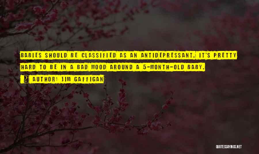 Jim Gaffigan Quotes: Babies Should Be Classified As An Antidepressant. It's Pretty Hard To Be In A Bad Mood Around A 5-month-old Baby.