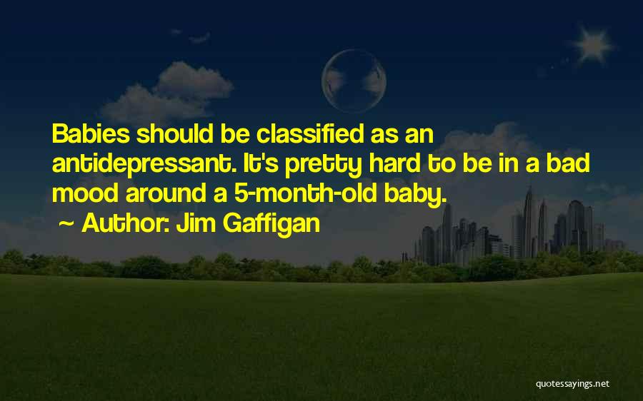 Jim Gaffigan Quotes: Babies Should Be Classified As An Antidepressant. It's Pretty Hard To Be In A Bad Mood Around A 5-month-old Baby.