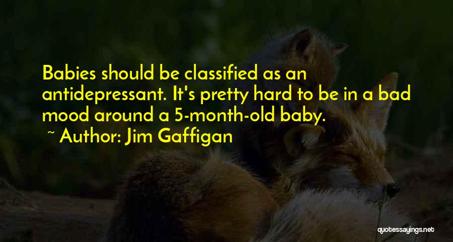 Jim Gaffigan Quotes: Babies Should Be Classified As An Antidepressant. It's Pretty Hard To Be In A Bad Mood Around A 5-month-old Baby.