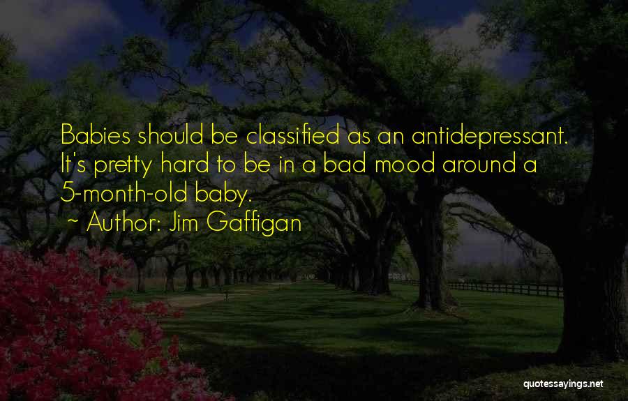 Jim Gaffigan Quotes: Babies Should Be Classified As An Antidepressant. It's Pretty Hard To Be In A Bad Mood Around A 5-month-old Baby.