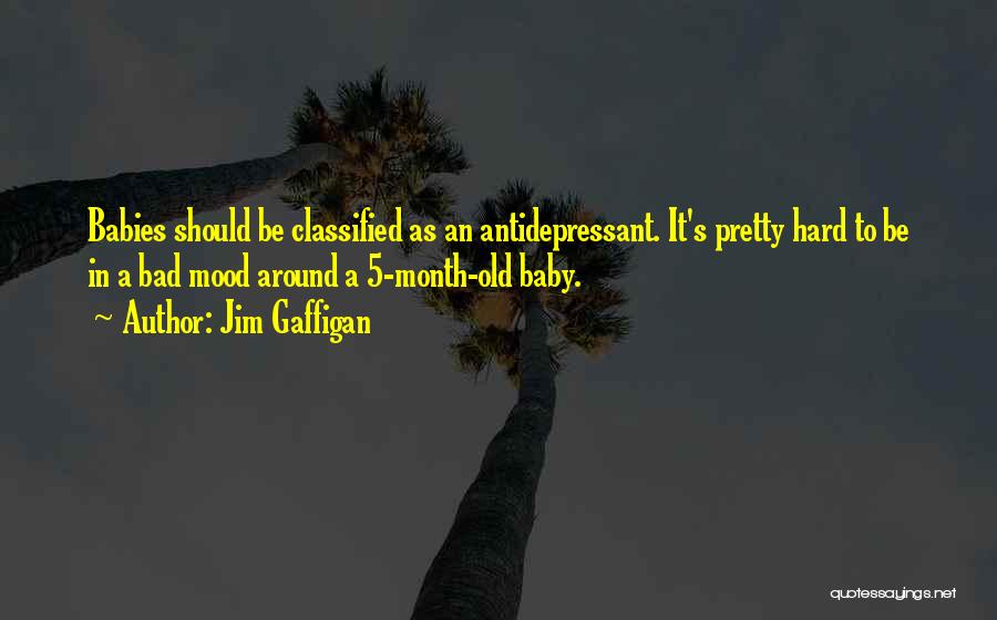 Jim Gaffigan Quotes: Babies Should Be Classified As An Antidepressant. It's Pretty Hard To Be In A Bad Mood Around A 5-month-old Baby.