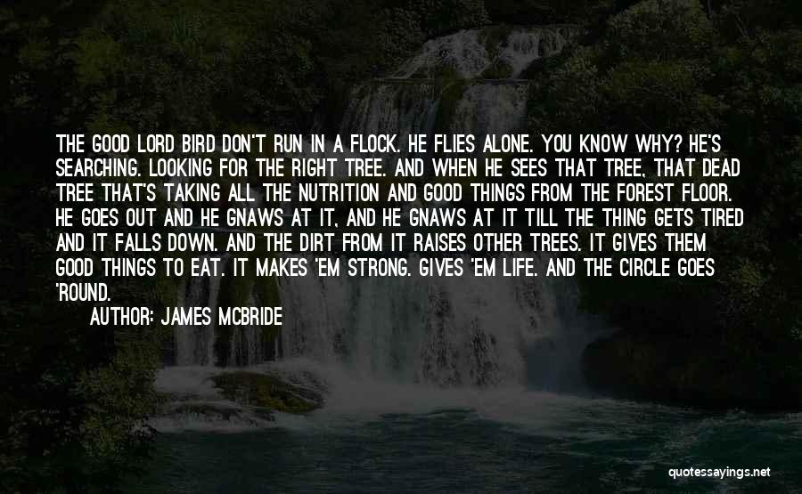 James McBride Quotes: The Good Lord Bird Don't Run In A Flock. He Flies Alone. You Know Why? He's Searching. Looking For The