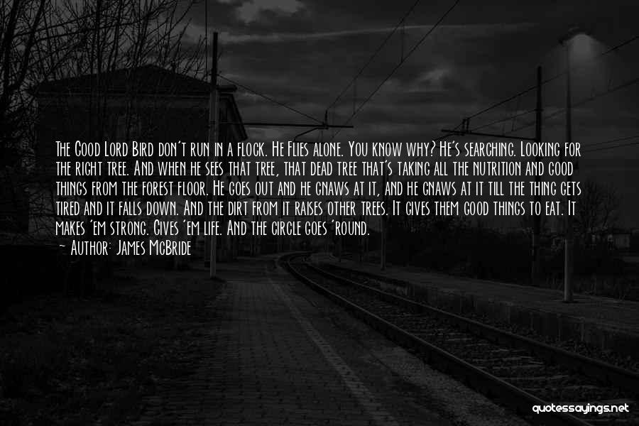 James McBride Quotes: The Good Lord Bird Don't Run In A Flock. He Flies Alone. You Know Why? He's Searching. Looking For The