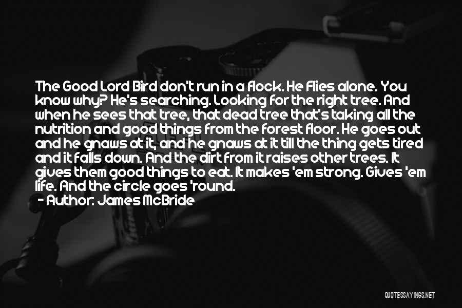 James McBride Quotes: The Good Lord Bird Don't Run In A Flock. He Flies Alone. You Know Why? He's Searching. Looking For The