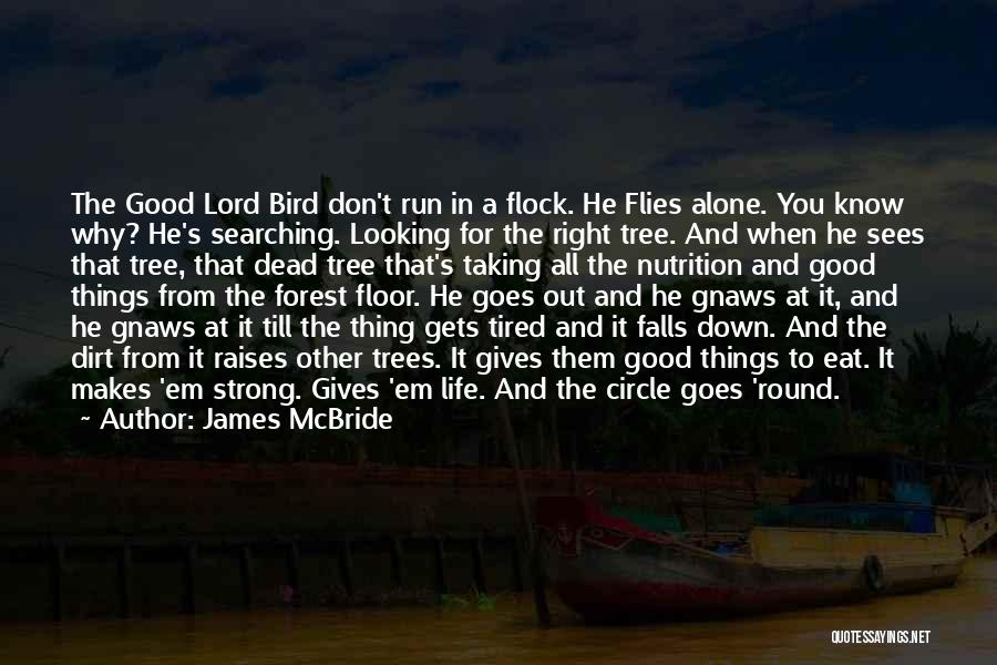 James McBride Quotes: The Good Lord Bird Don't Run In A Flock. He Flies Alone. You Know Why? He's Searching. Looking For The