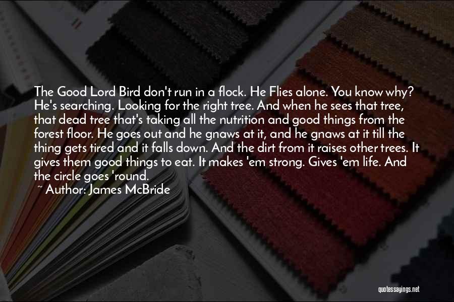 James McBride Quotes: The Good Lord Bird Don't Run In A Flock. He Flies Alone. You Know Why? He's Searching. Looking For The