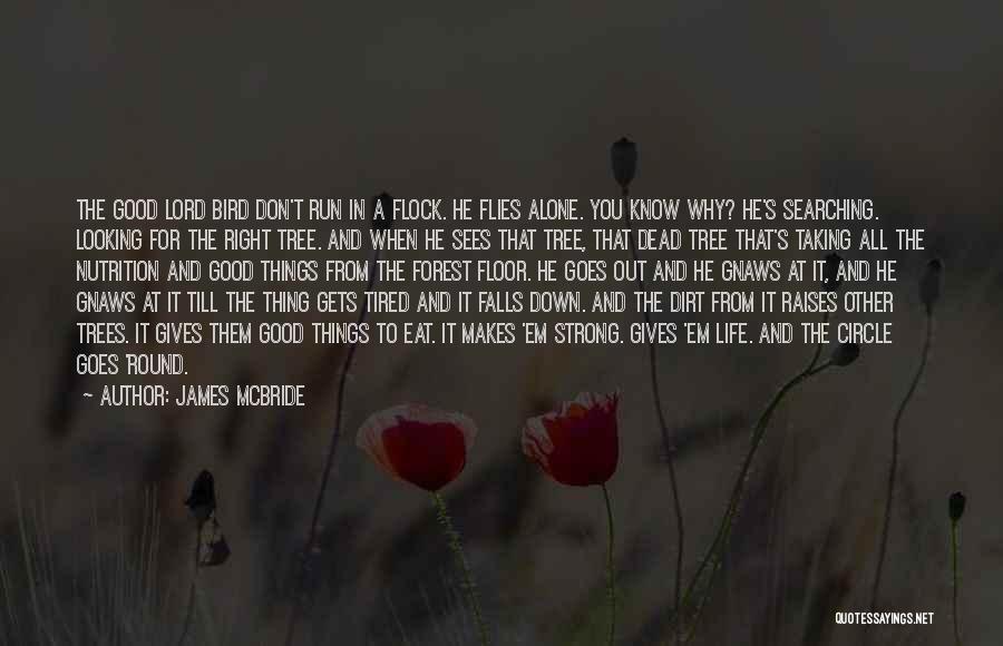 James McBride Quotes: The Good Lord Bird Don't Run In A Flock. He Flies Alone. You Know Why? He's Searching. Looking For The