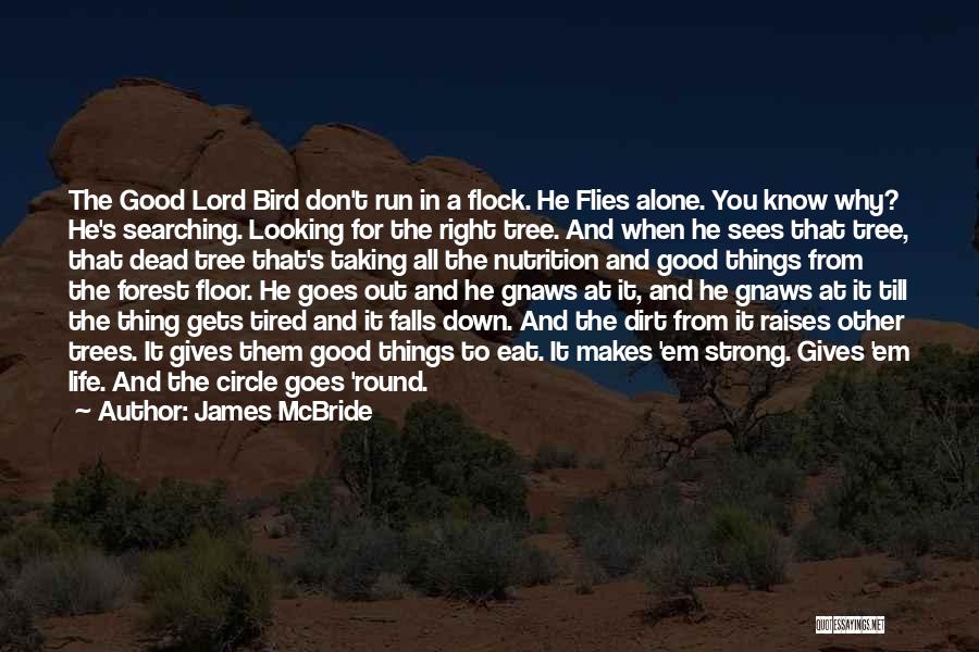 James McBride Quotes: The Good Lord Bird Don't Run In A Flock. He Flies Alone. You Know Why? He's Searching. Looking For The