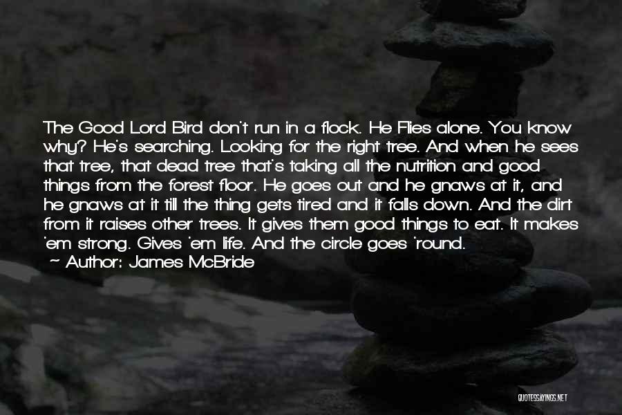 James McBride Quotes: The Good Lord Bird Don't Run In A Flock. He Flies Alone. You Know Why? He's Searching. Looking For The