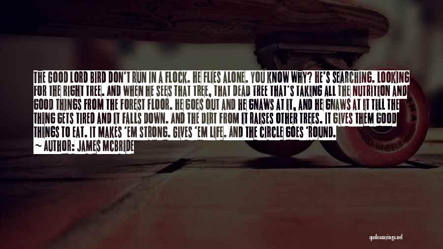 James McBride Quotes: The Good Lord Bird Don't Run In A Flock. He Flies Alone. You Know Why? He's Searching. Looking For The