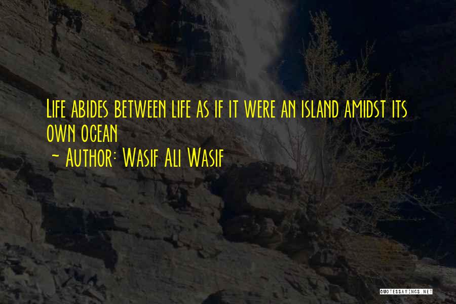 Wasif Ali Wasif Quotes: Life Abides Between Life As If It Were An Island Amidst Its Own Ocean