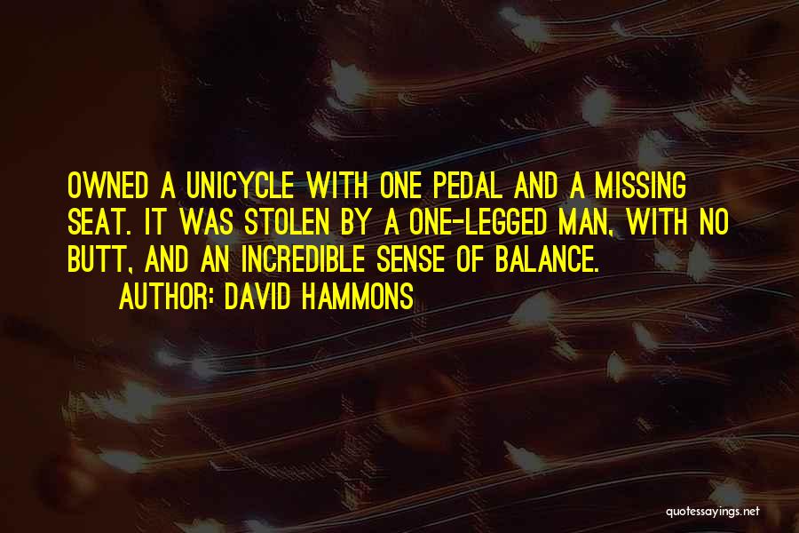 David Hammons Quotes: Owned A Unicycle With One Pedal And A Missing Seat. It Was Stolen By A One-legged Man, With No Butt,