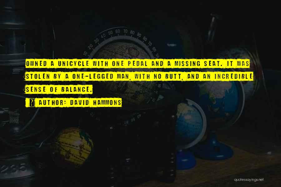 David Hammons Quotes: Owned A Unicycle With One Pedal And A Missing Seat. It Was Stolen By A One-legged Man, With No Butt,