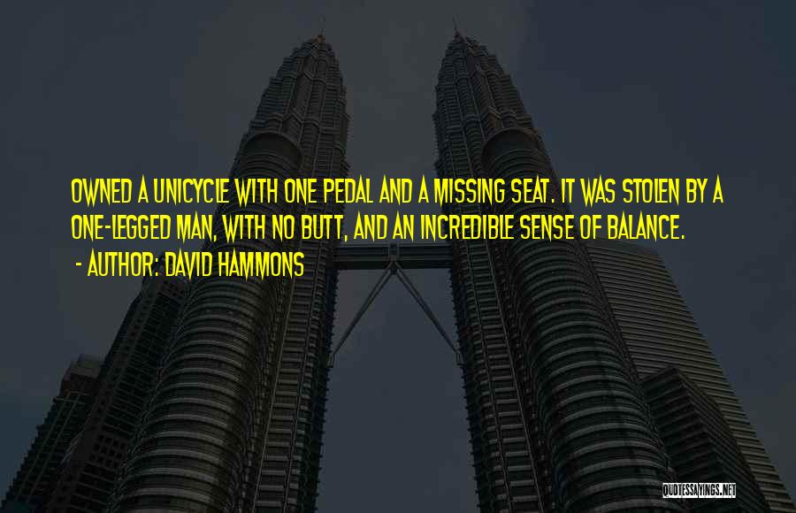 David Hammons Quotes: Owned A Unicycle With One Pedal And A Missing Seat. It Was Stolen By A One-legged Man, With No Butt,