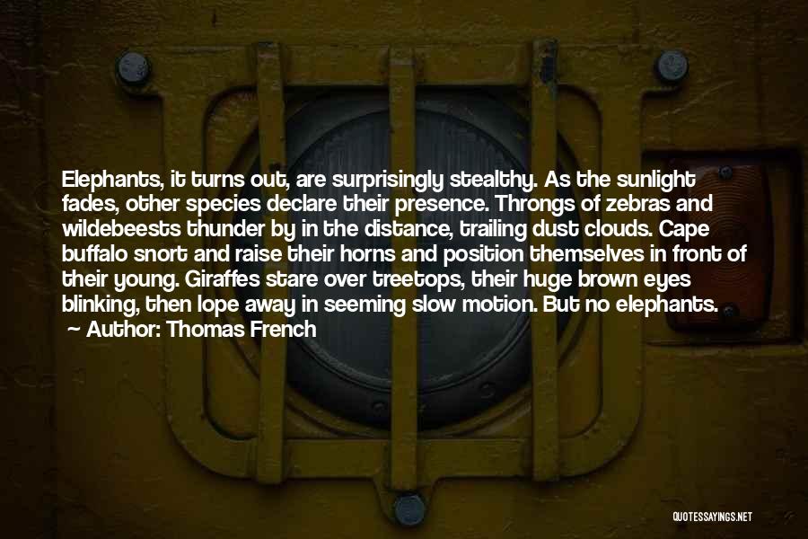 Thomas French Quotes: Elephants, It Turns Out, Are Surprisingly Stealthy. As The Sunlight Fades, Other Species Declare Their Presence. Throngs Of Zebras And