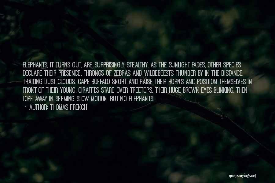 Thomas French Quotes: Elephants, It Turns Out, Are Surprisingly Stealthy. As The Sunlight Fades, Other Species Declare Their Presence. Throngs Of Zebras And