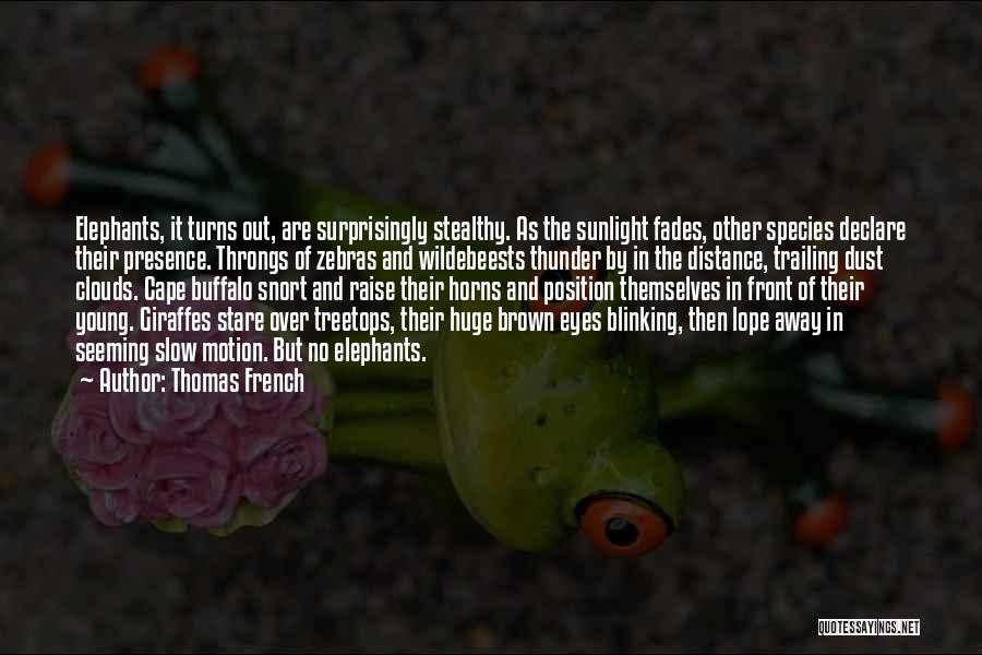 Thomas French Quotes: Elephants, It Turns Out, Are Surprisingly Stealthy. As The Sunlight Fades, Other Species Declare Their Presence. Throngs Of Zebras And