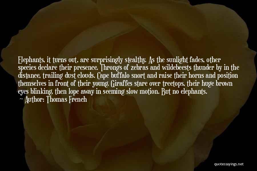 Thomas French Quotes: Elephants, It Turns Out, Are Surprisingly Stealthy. As The Sunlight Fades, Other Species Declare Their Presence. Throngs Of Zebras And