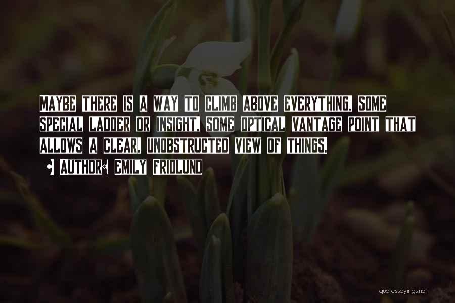 Emily Fridlund Quotes: Maybe There Is A Way To Climb Above Everything, Some Special Ladder Or Insight, Some Optical Vantage Point That Allows
