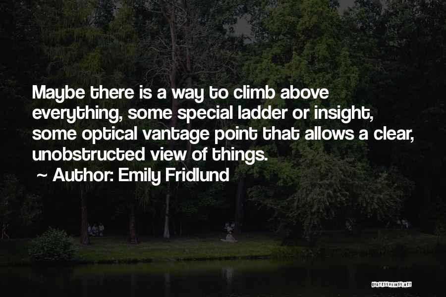 Emily Fridlund Quotes: Maybe There Is A Way To Climb Above Everything, Some Special Ladder Or Insight, Some Optical Vantage Point That Allows
