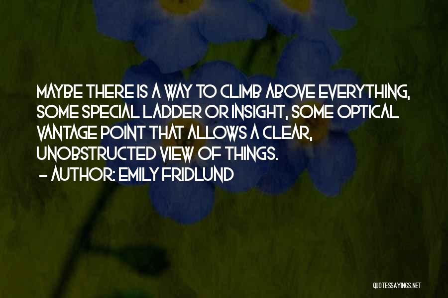 Emily Fridlund Quotes: Maybe There Is A Way To Climb Above Everything, Some Special Ladder Or Insight, Some Optical Vantage Point That Allows