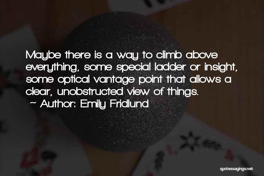 Emily Fridlund Quotes: Maybe There Is A Way To Climb Above Everything, Some Special Ladder Or Insight, Some Optical Vantage Point That Allows