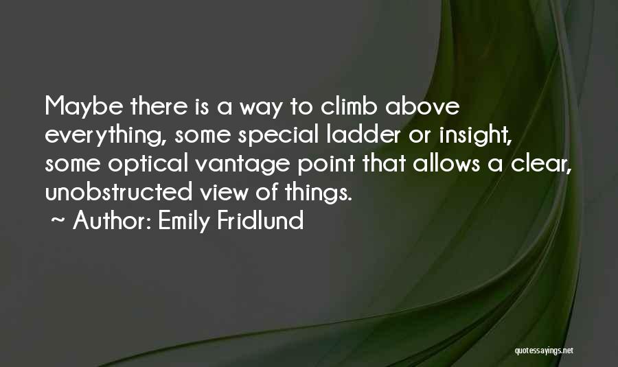 Emily Fridlund Quotes: Maybe There Is A Way To Climb Above Everything, Some Special Ladder Or Insight, Some Optical Vantage Point That Allows