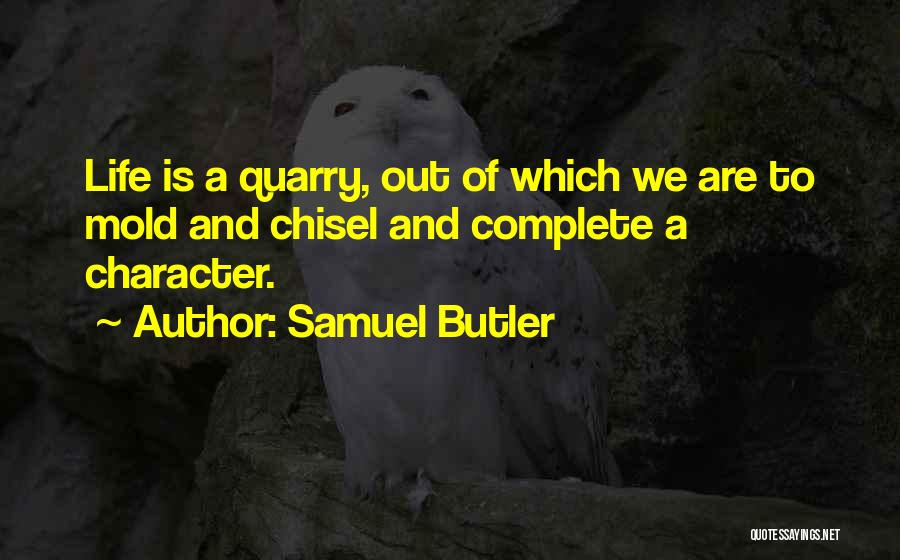 Samuel Butler Quotes: Life Is A Quarry, Out Of Which We Are To Mold And Chisel And Complete A Character.