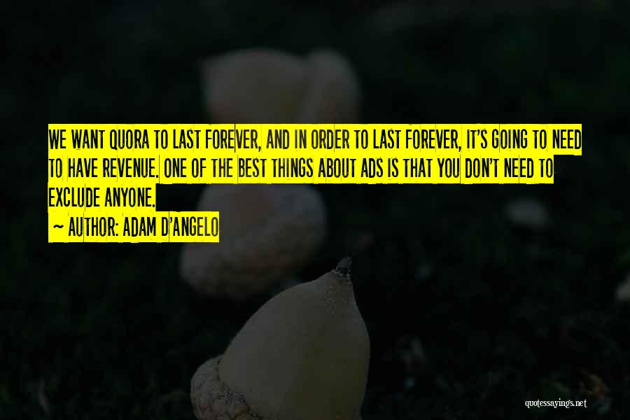 Adam D'Angelo Quotes: We Want Quora To Last Forever, And In Order To Last Forever, It's Going To Need To Have Revenue. One