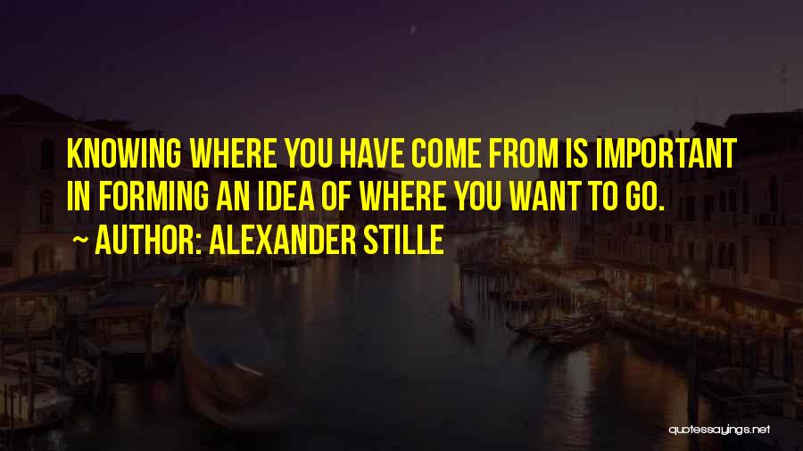 Alexander Stille Quotes: Knowing Where You Have Come From Is Important In Forming An Idea Of Where You Want To Go.