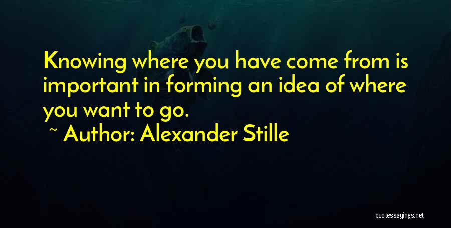 Alexander Stille Quotes: Knowing Where You Have Come From Is Important In Forming An Idea Of Where You Want To Go.