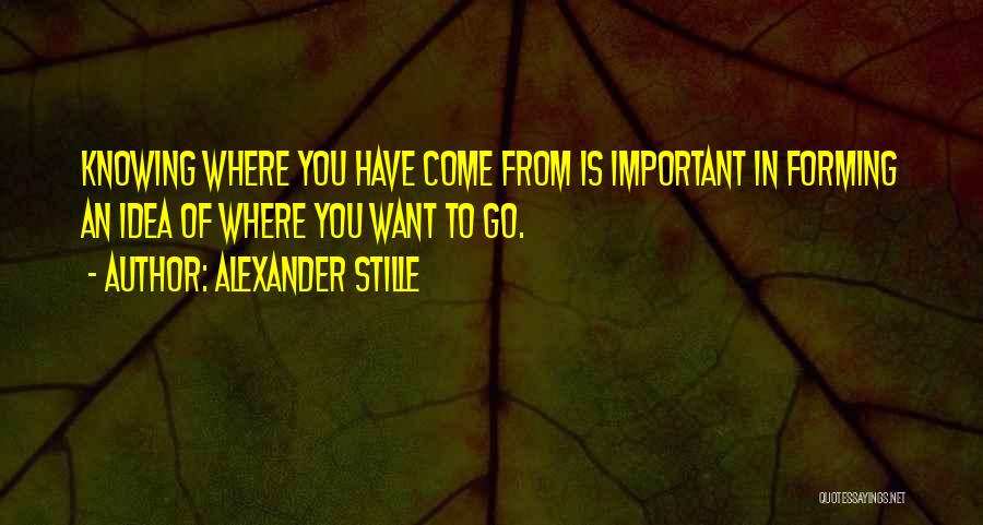 Alexander Stille Quotes: Knowing Where You Have Come From Is Important In Forming An Idea Of Where You Want To Go.
